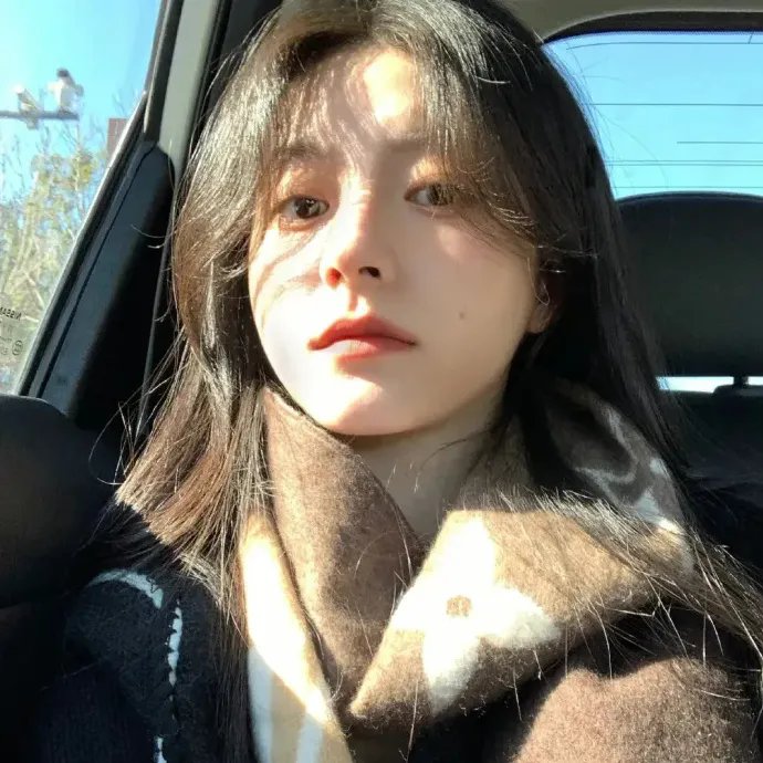 危机中的女人 海报