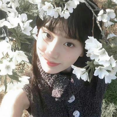 情杀局中局 海报